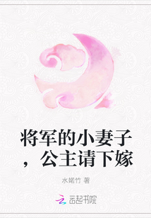 将军的小妻子，公主请下嫁